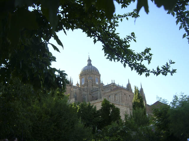 20080712_4446