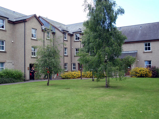 wolfe_Stirling2009_003